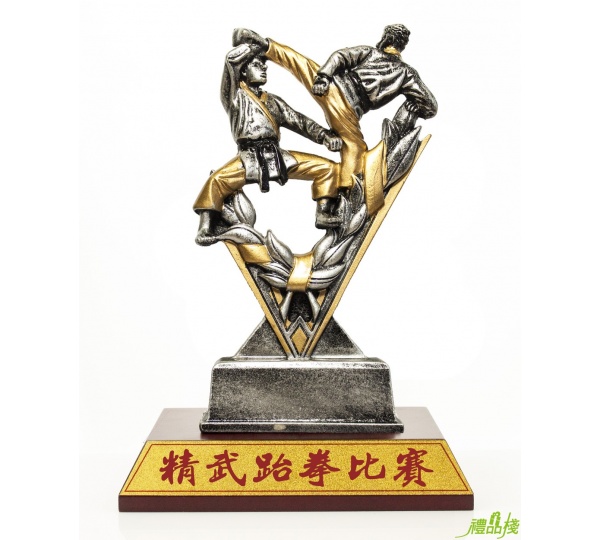 跆拳運動獎座,運動獎盃,運動獎牌,獎座訂製,創意獎盃,獎盃獎牌,獎盃樣式
